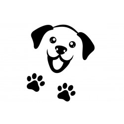 Φροντίδα Κατοικίδιων   (25)