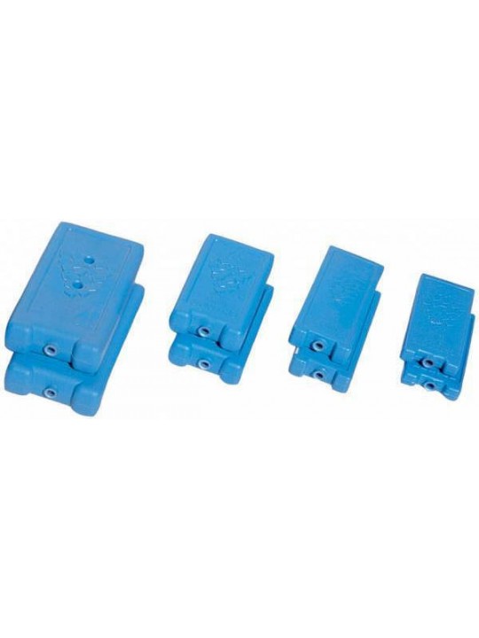 ΠΑΓΟΚΥΣΤΕΣ ΙΤΑΛΙΑΣ 200gr