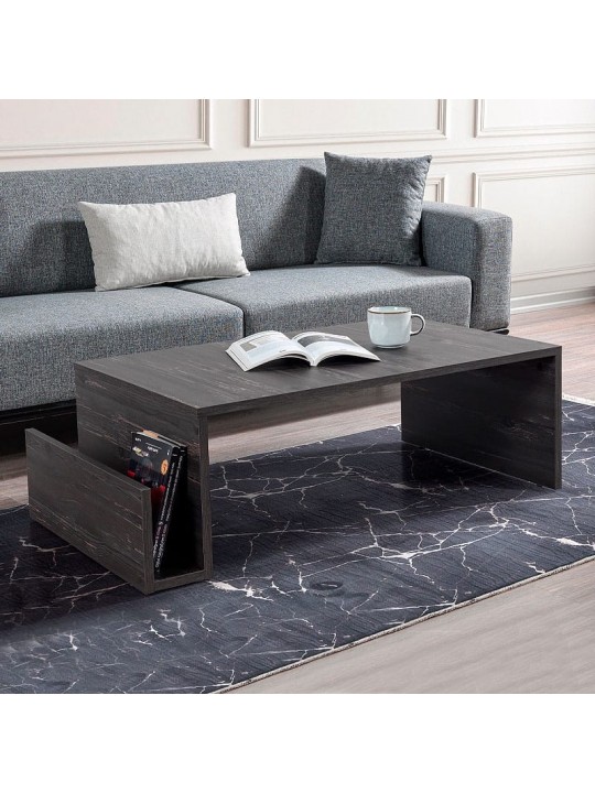 Τραπεζάκι σαλονιού Regnar Megapap χρώμα rebab 100,6x55x31,8εκ.