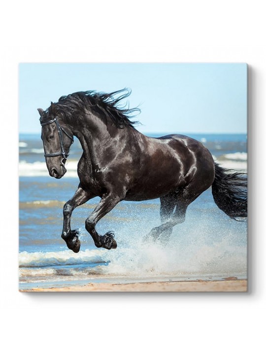 Πίνακας σε καμβά 