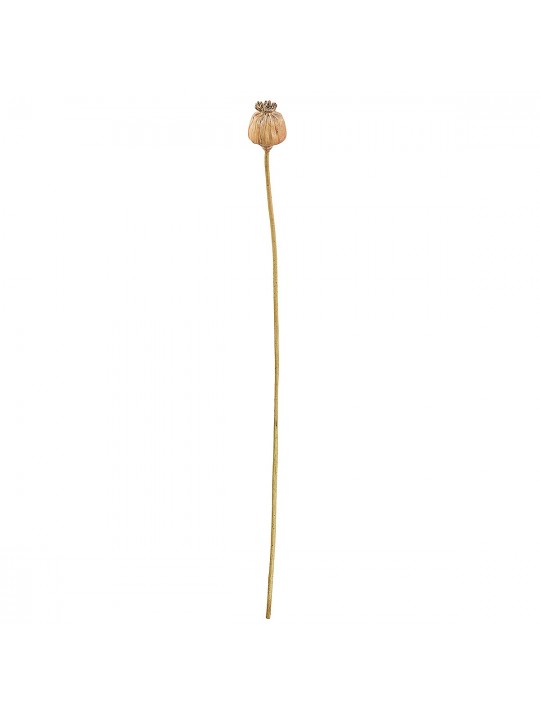 Κλαδί Σενέκιο ArteLibre Τεχνητό Καφέ 55cm