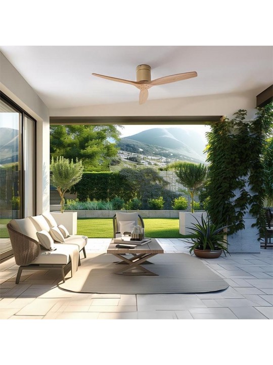 CECOTEC - ENERGYSILENCE AERO 5500 AQUA GOLDLIGHTWOOD CONNECTED 08521 CECOTEC - ENERGYSILENCE AERO 5500 AQUA GOLDLIGHTWOOD CONNECTED 08521