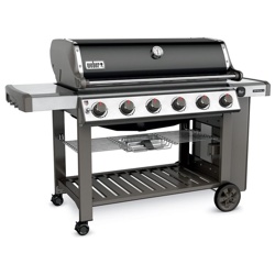 Ψησταριές Υγραερίου (18)